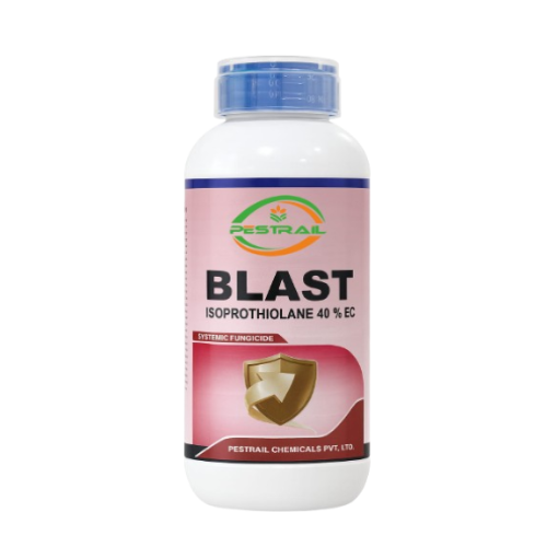 BLAST